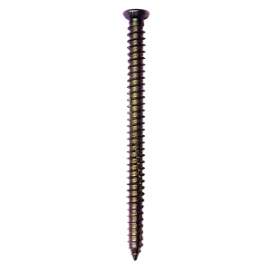 Masonry Frame Screws