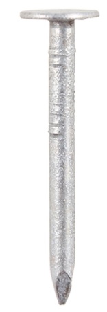 Galv Clout Nails-1kg