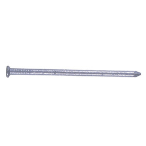Galv Round Wire Nails - 1Kg