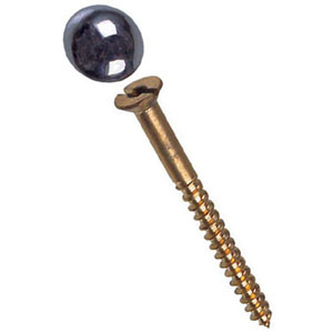 6ba BZP Mirror Screws