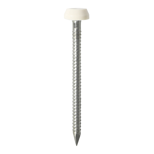 40x1.9mm Polytop Pins