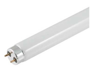 Fluorescent Tube