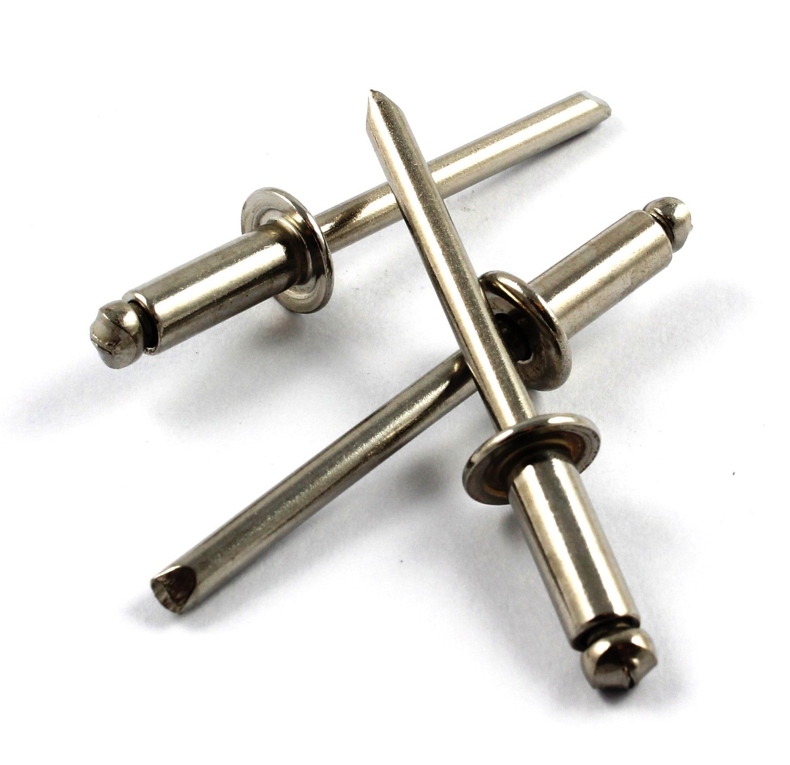4.8 Stainless Steel Dome Head Rivets